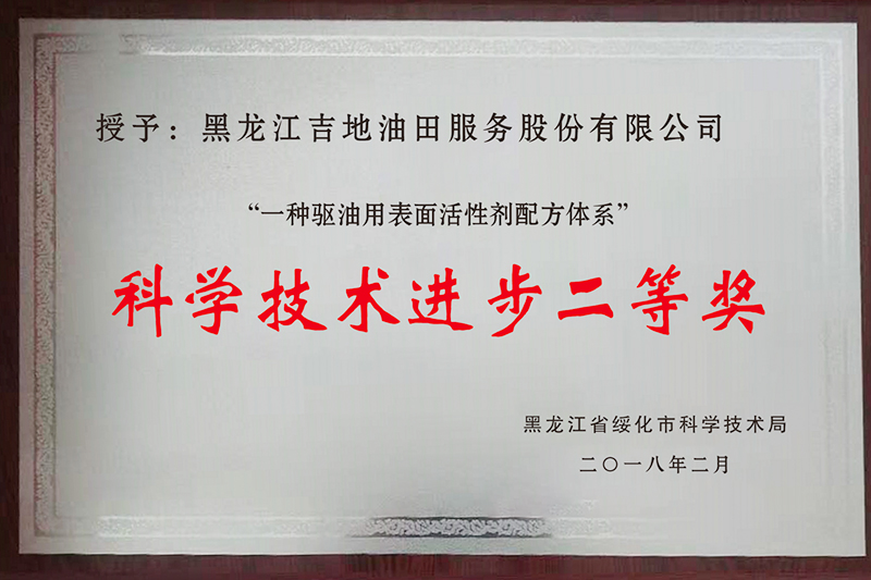 科學(xué)技術(shù)進(jìn)步二等獎(jiǎng)