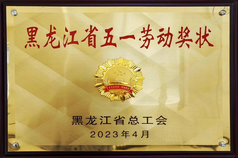 黑龍江省五一勞動(dòng)獎(jiǎng)狀