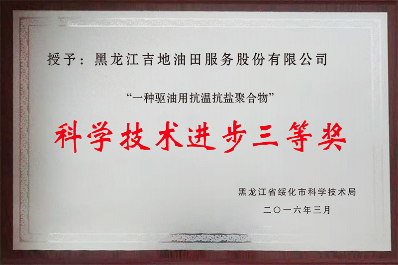 科學(xué)技術(shù)進步三等獎