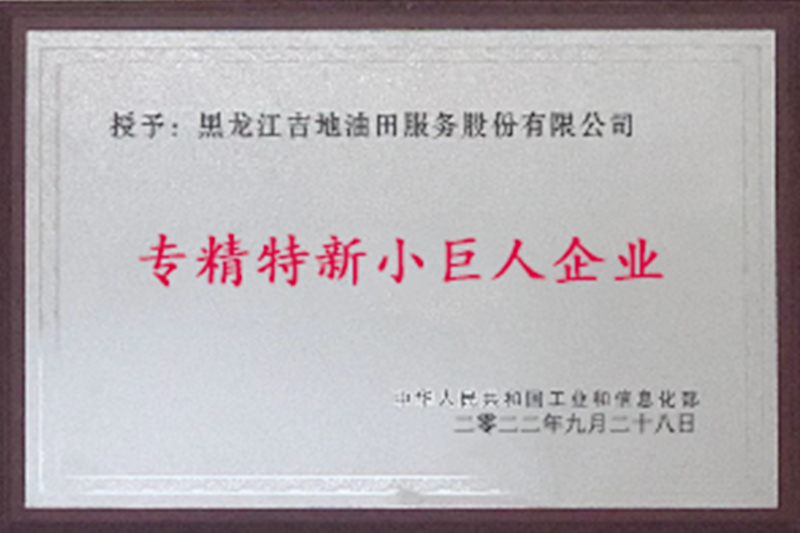 專精特新小巨人企業(yè)